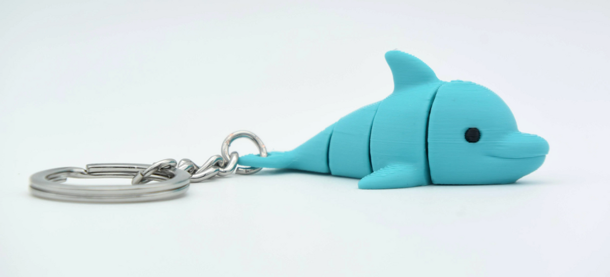 Cute Dolphin