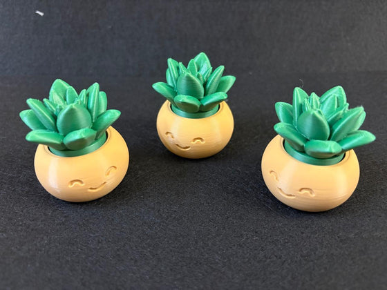 Succulent Clicker